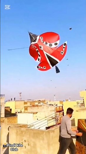 pindi basant Top biggest tukkal flying 2025 PT 2 #kiteflying