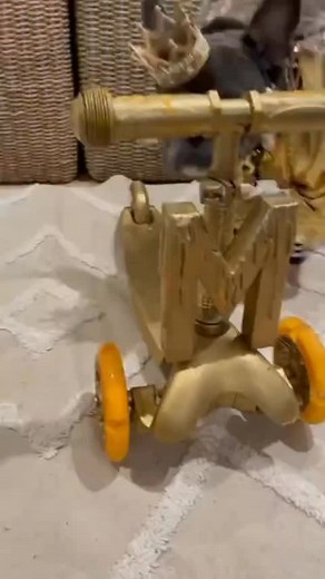 845 reactions · 62 shares | She’s cute but her backpack says I handle poop, pack a shark, and stay sanitized #whatsinmybag #cutedogs | Midgie Pudge | Facebook