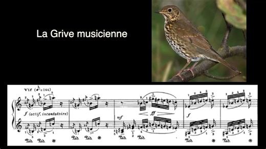 梅西安鸟鸣集中的鸟歌 Les chants d'oiseaux d'Olivier Messiaen