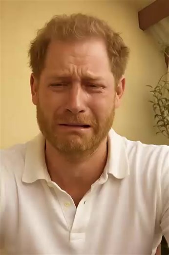 “NO LONGER A SECRET!” Prince Harry Drops SHOCKING News About Archie’s DNA — and It’s Linked to William and Kate?! After three years of silence, Prince Harry has finally revealed the secret that could change everything. The royal family had no idea — but Archie’s DNA reportedly connects to William and Kate in ways no one could have imagined. And when the truth came out, the room fell silent. “Congratulations, William…” Harry said with a bitter smile. “The real DNA belongs to…” SEE FULL BELOW 😰👇