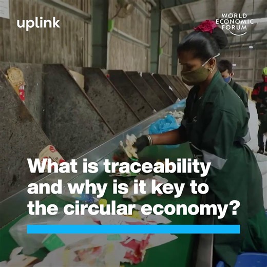 1.7K views · 31 reactions | #Traceability is essential to a circular...