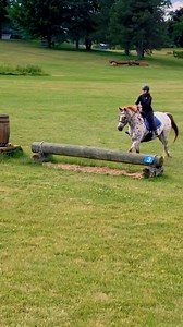 4K views · 275 reactions | Having A Blast Jumping My Appaloosa Jiminey | Free Spirit Equestrian | Facebook