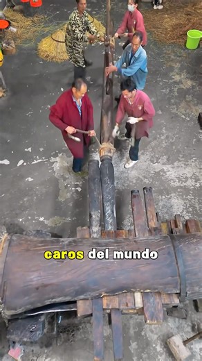 The most traditional method of oil extraction#knowledge #didyouknow #asmr #fyp