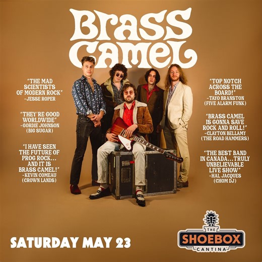 Saturday Showcase: Brass Camel