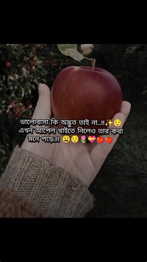 Guess the Member: Fun and Engagement on TikTok