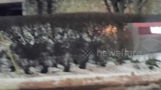 US: Reports of Shots Fired Prompt Evacuation at Willowbrook Mall in New Jersey