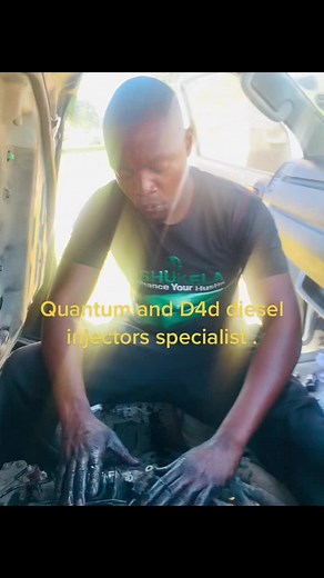 Diesel Injector Repair Guide: Quantum and D4D Focus