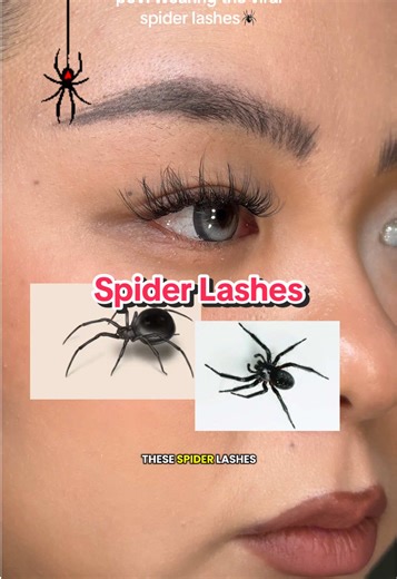 Mastering Spider Lashes: A Complete Tutorial