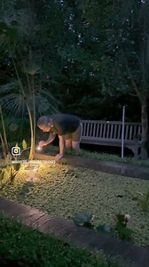 9.4K views · 231 reactions | { L A M P } 3 ways I love to use our...