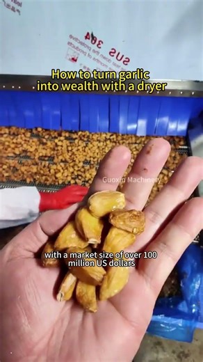 Processing 5 tons of garlic per day #garlic #garlicdryer #garlicpowder #fyp #Drying equipment
