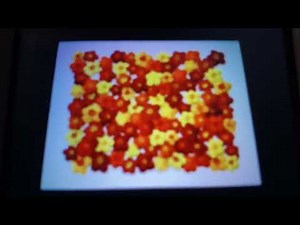 Blue’s Clues: Blue Takes You To School (2003 VHS)