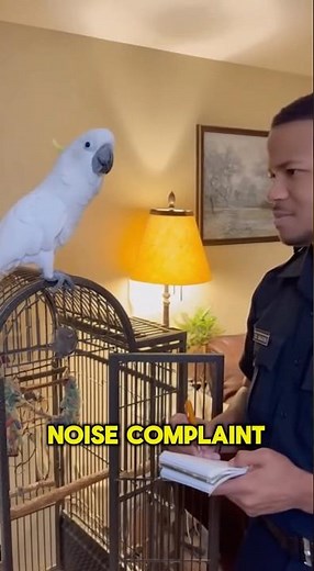 Smart Parrot vs Cop 🦜😂 | Funny Talking Parrot | Viral Non Stop Talking Parrot