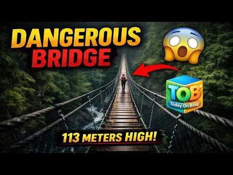 Would You Cross This 113m Hanging Bridge? 😨 | logan creek suspension bridge | Canada