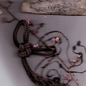 Yyed - Two Reflections In Parallel
