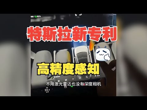 特斯拉专利曝光FSD如何高精度感知环境，彻底淘汰激光雷达