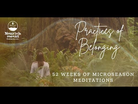 Embodying your Wolf Nature: A Meditation