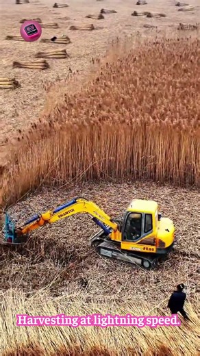 Harvesting an Entire Field in Seconds — Speed and Precision Unmatched!