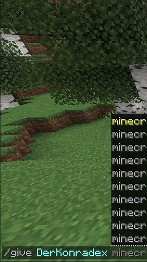 So bekommst du den DEBUG STICK in Minecraft Java & Bedrock