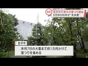 樹木も冬支度 金沢市で雪つり開始 2021.11.11放送