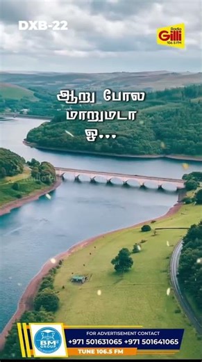 Ideamart Shorts - 11