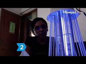 How to Buy a Bug Zapper