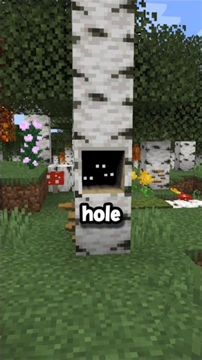 Minecraft birch update..