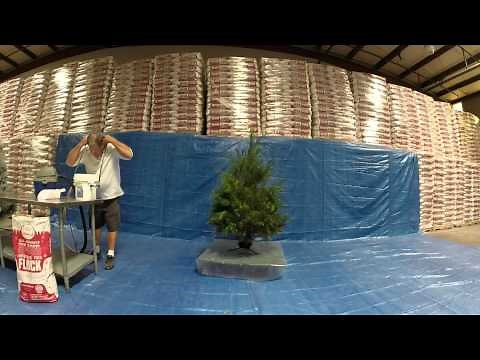 Peak Seasons Mini Sno Blower