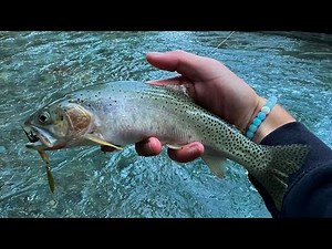 3 Days Fishing In Glacier National Park!