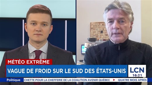 La vague de froid dans le sud-est des États-Unis fait tomber les iguanes des arbres en Floride