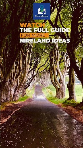 Dark Hedges - Most Beautiful places in Ireland #Shorts Travel