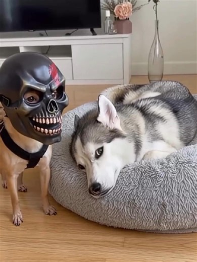 Captivating Tattoo Illustrations: A Digital Art Perspective