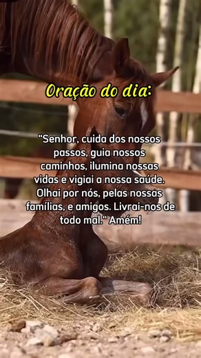 🙌… | Cavalosdorancho