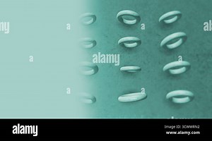 Model Of Torus Rotating Stock Video Footage - Alamy