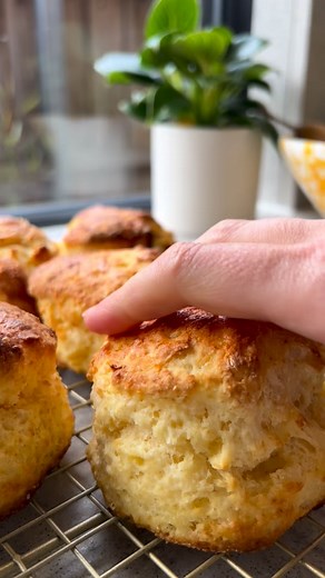 39K views · 2.2K reactions | Say goodbye to dry or tough scones 﫣 I’m sharing ALL my secrets for making big, TALL, buttery scones from scratch! Find the easy recipe on Sweetest Menu or comment RECIPE and I’ll send you the link!  https://www.sweetestmenu.com/buttermilk-scones/ #scones #biscuits #recipe | Sweetest Menu | Facebook