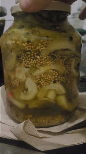 Senfgurken selber einlegen einfach Essig Wasser Zwiebeln in Stücke und einfach einlegegewürz