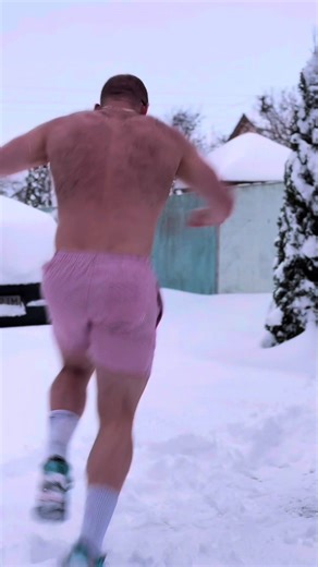 X : lastanimal_xl 🐻 | animals videos