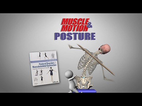 Muscle&Motion POSTURE
