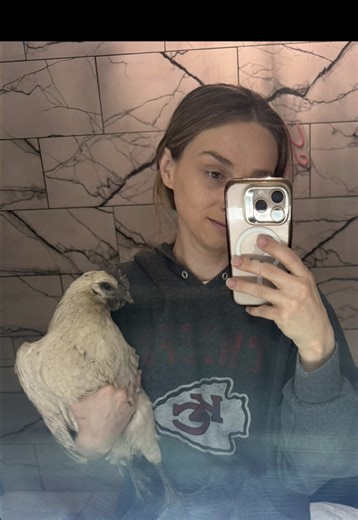 Hawk Attack: Protecting My Chickens and Guardian Dogs