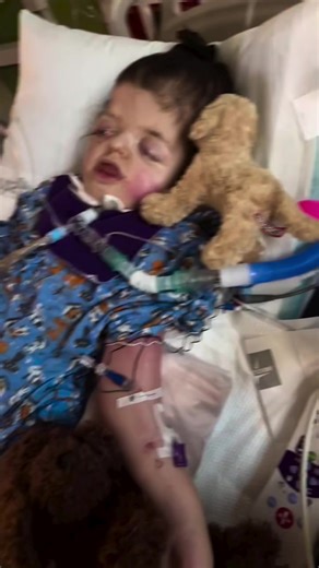 This is my real story living with Pfeiffer syndrome. From childhood challenges to daily victories, I’m sharing my journey to inspire someone who may be struggling right now. If you or someone you love has Pfeiffer syndrome, I hope this video reminds you that strength lives inside you. Thank you for being here and supporting my journey. 💙 #RareCondition #PfeifferSyndromeAwareness #MyStory #StayStrong