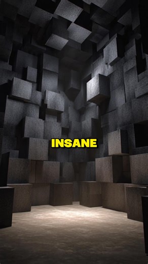 Inside the Room So Quiet, It Drives You Crazy. Deep inside Orfield Labs, USA, lies the world’s quietest room — the Anechoic Chamber. With noise levels at -9 decibels, it’s so silent you can hear your heartbeat, your blood flow… even your thoughts echo. Most people can’t last more than a few minutes. #generalknowledge #interestingfacts #mindblown #MindBlowingFacts #unbelievable #DidYouKnow #factsyoudidntknow #factreels #factsdaily #learnsomethingnew #facebookreel #viralreel | Sophos Facts