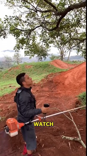 Mastering Tree Pruning Tips and Tricks. #TreeCare #GardeningTips #NatureLovers #TreeTrimming #GardenBeauty | Doraya Jennings