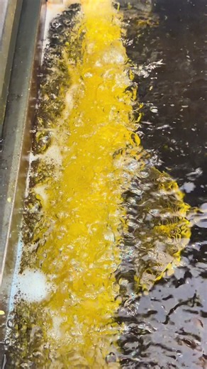 Fish Roe Varieties Explained: roe-264, roe-247, roe-419, roe-473