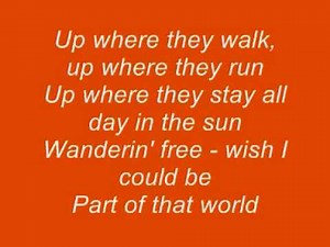 Part Of That World Lyrics by Little Mermaid