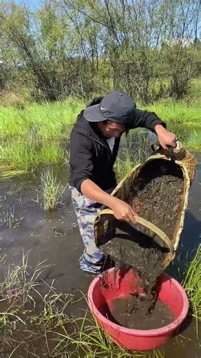 Monster Fish Caught! 🎣Giant Fish Catch!Biggest Fish Ever Caught!Epic Fishing Adventure!Huge Fish on