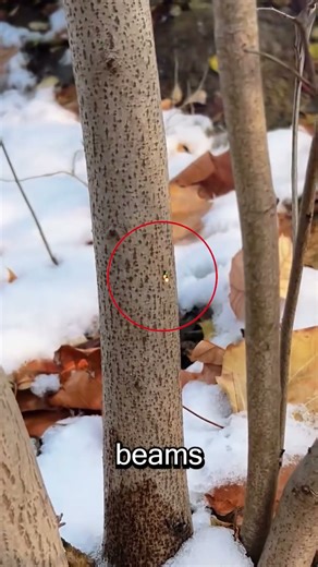 US Army's New Laser Weapon Is Terrifying 😱