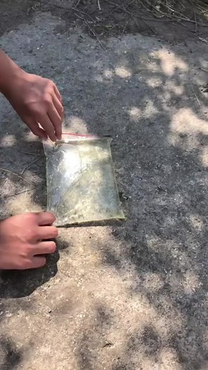 Creative Outdoor Plastic Wrap Reveal