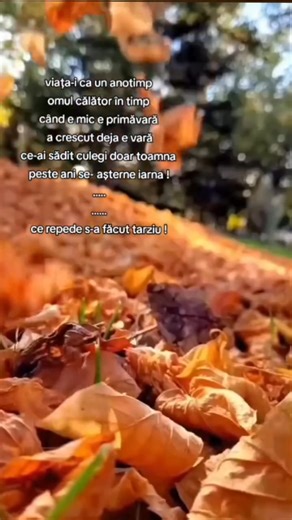 94K views · 2.1K reactions | Florentina Luca on Reels | Facebook