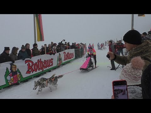 International Sled Dog Race Todtmoos 2019 - Impressions from January 26, 2019
