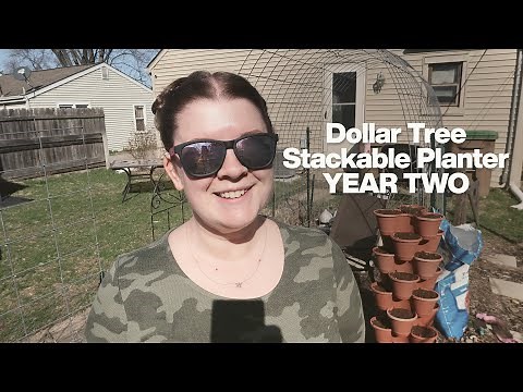 Dollar Tree Stackable Planter - YEAR TWO UPDATE!