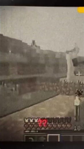 inilah penampakan entitiy 303 saat gua dan teman gua main minecraft java 1.56